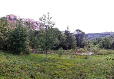 Il 5 giugno torna “Appuntamento in Giardino” con visite guidate nel Parco paesaggistico Lauretum
